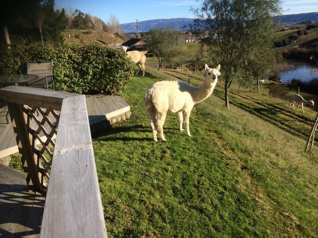 Hunters Moon Villa Mosgiel Exteriör bild