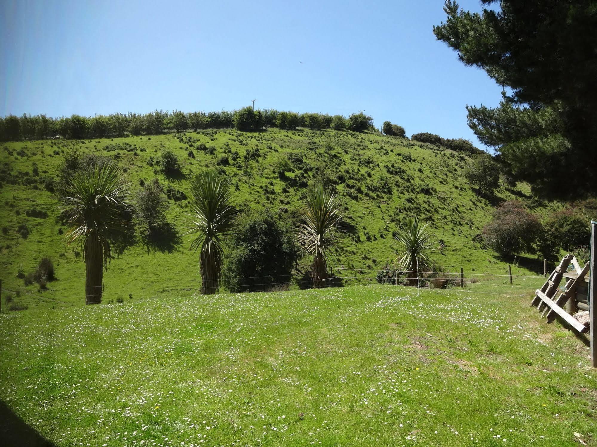 Hunters Moon Villa Mosgiel Exteriör bild